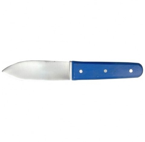 Couteau Coquille Saint Jacques manche Bleu